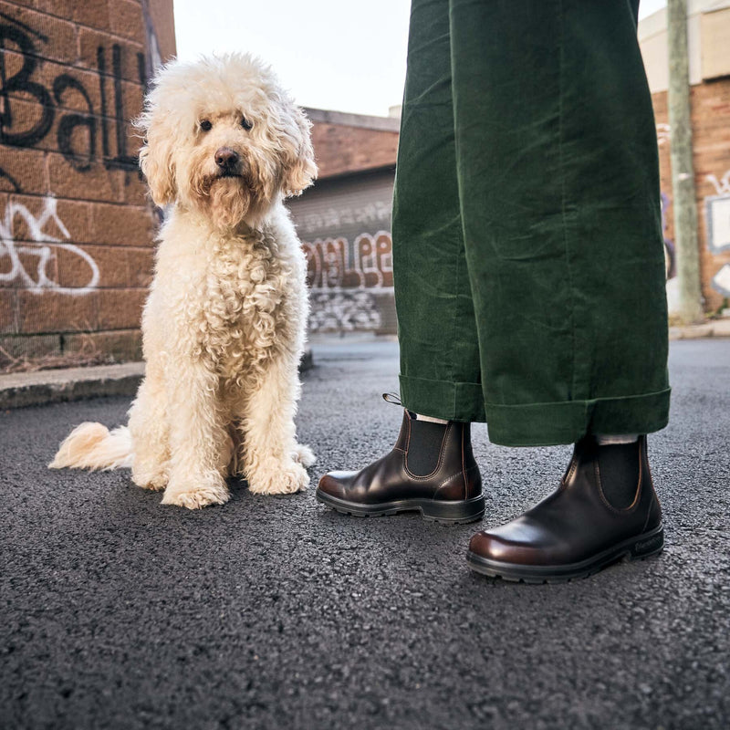 Blundstone | 2506 Chelsea boots Nero in Pelle